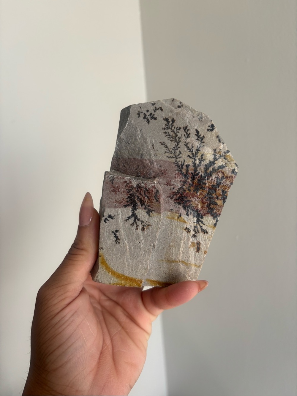 Natural Dendritic Stone Art Piece in Gray, Black and Yellow